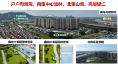 成为南沙区房产投资的抢手